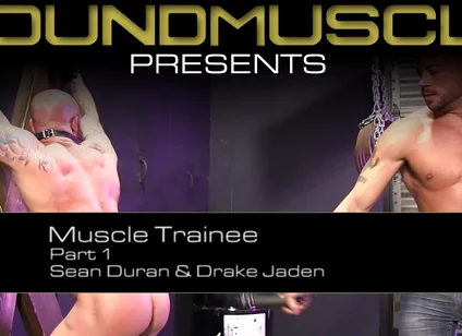 Muscle Trainee - Part 1