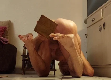 Fan Videos