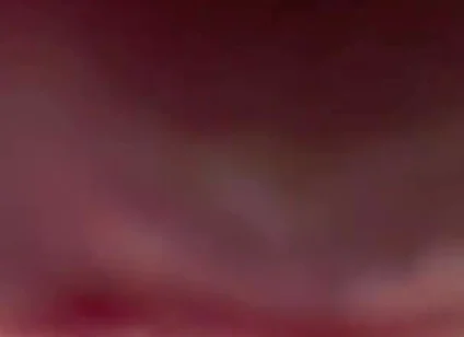 Your POV. Big Femboy Cock Right on Your Face