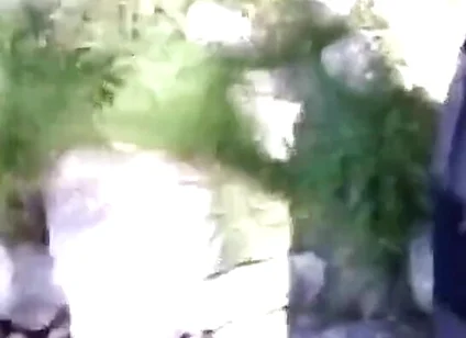 Jon Arteen Pissing Pee Outside. Twink Flirting in a Gay Cruising Park. Sexy Slim Boy in Adidas Sportwear