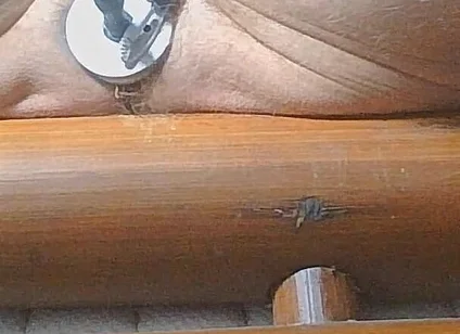 Long Edging