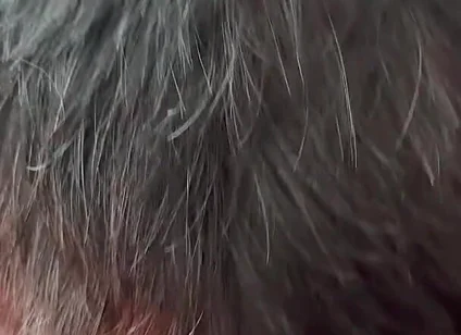 The Secret Intimacy of the Bears 3