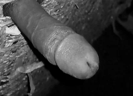 Hot Indian Desi Boy Masturbating in the Night.