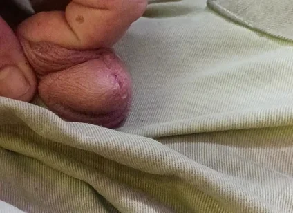 Piss Pig Fag Boy