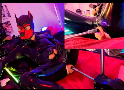 Nicolaus Rubber Show Mit Pup Maske