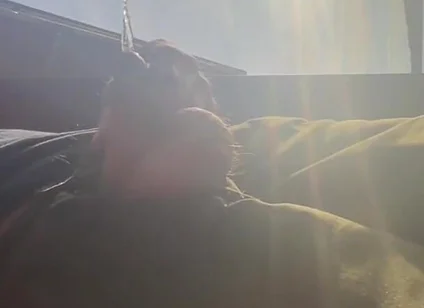Pissing in Sunset