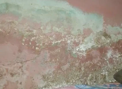 Big Cock Pees and Fucks His Bed Conspicuously