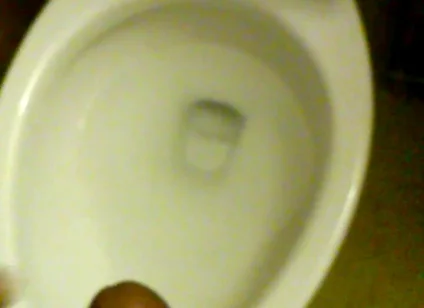Cam Video