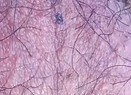Sexy Twink's Hairy Balls Move All Alone for This Fascinating Gay Porn Video