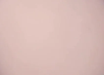 514 Anal Educational Creampie