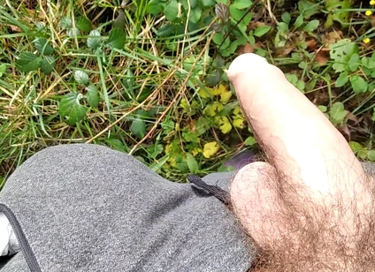 The Horny Stepfather Went on a Hike, When He Took Out His Bonita Cock a Tick Fell on His Cock