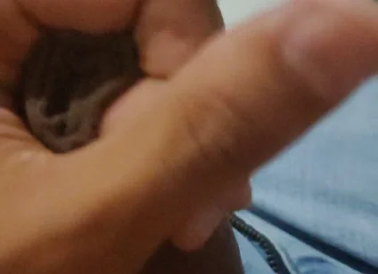 Cumming Loads From First POV