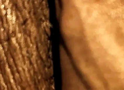 Soft Uncut BBC Slow Motion Close up