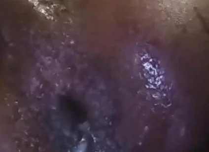 The Bussy