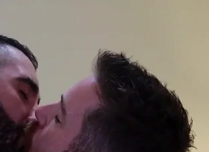 Bears Kissing