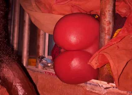 Big Ass Vibrate All Dick to Cum Hubby