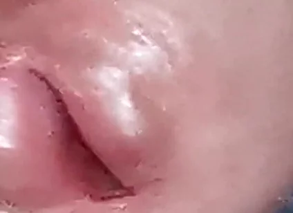 The Dick Growls at Its Owner