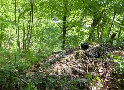 Connecting with Nature