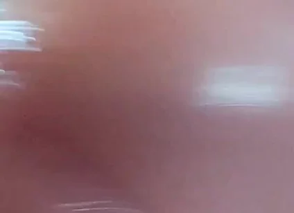 Beautiful Pink Penis Dripping Sweet Nectar.