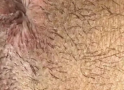 Do You Like My Ass?
