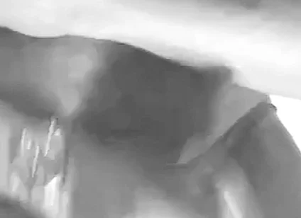 Black & White Black Muscle Daddy Edging and Cum