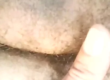 Pikão