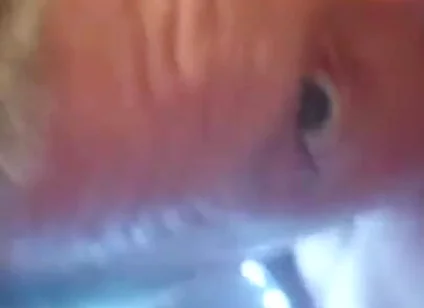 An Intense Orgasm From a Blowjob Cum in Mouth