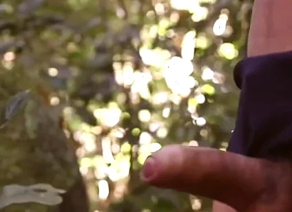Fuck Amazon Jungle Breeding Bi Sexual Cumshot