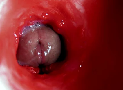 A Big Beautiful Cock Flows Abundantly Inside a Wet Slippery Hole and Smacks!
