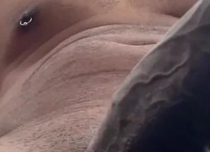 Cock Lovers. POV