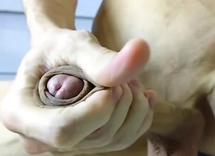 Hot Veiny Guy Slowly Strokes His Huge Beautiful Cock On Your Face