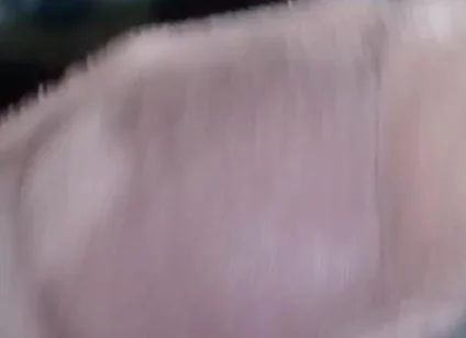 Cum in Mother-in-law's Panties