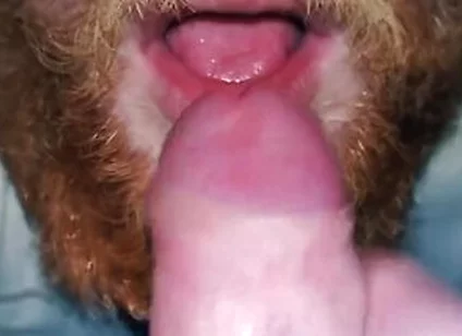 I Let My Stepbro Suck Me As Christmas Gift - Hunk Hands