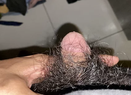 I Masturbate in the Afternoon