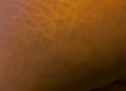 Big Black Ass