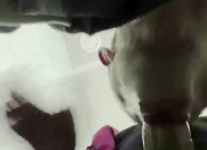 The Teacher's Thick Sucks in a Public Toilet. Slaps for a Student