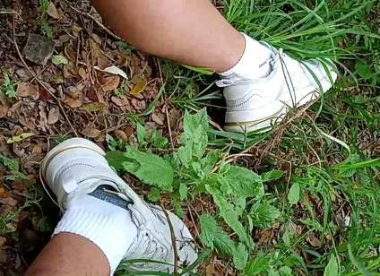 Compilation Pisses Urine by Master David