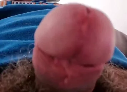 You Want to Suck My Meat Pole