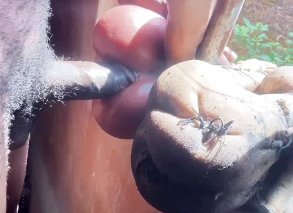 Fucking Sex Toys