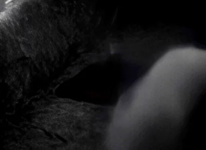 Hump Masturbation Black and White with the First Real Webcam in 1996