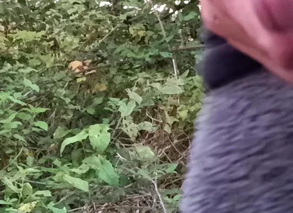 Moaning Squirting Cumshot Wanking in the Woods Wearing Onesie
