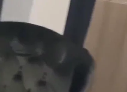 Blessed fucked raw by Casio