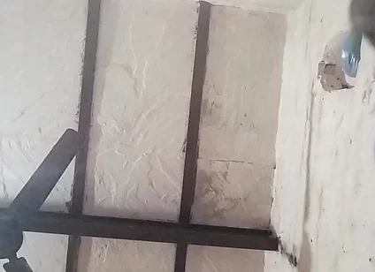 Big Indian Cock